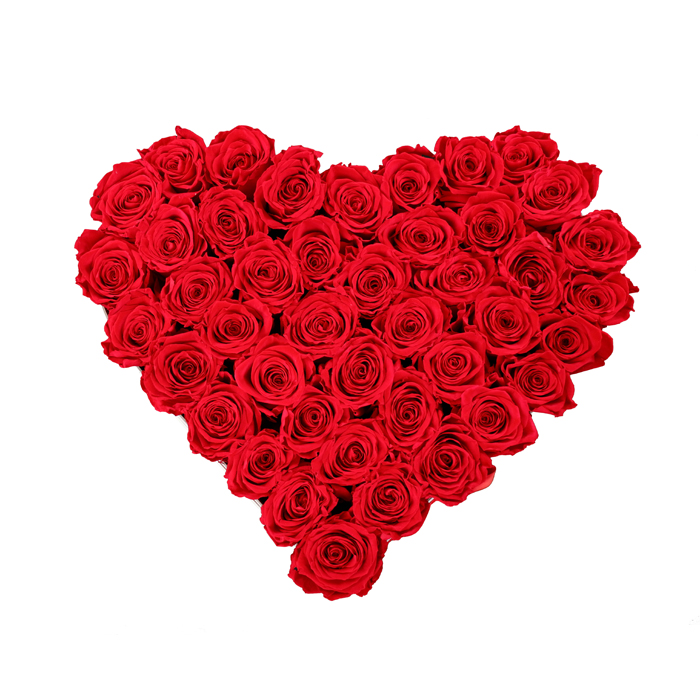 red roses in the shape of heart2