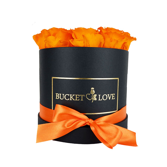 Dawn of orange roses 2