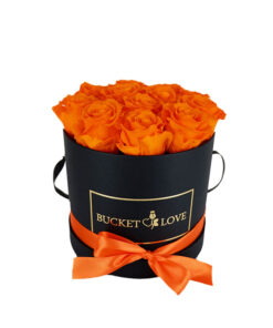 orange roses in a circled shape