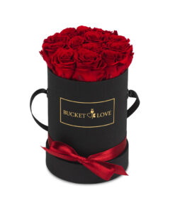 Mini red roses in black