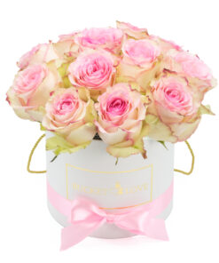 Bucket of Love