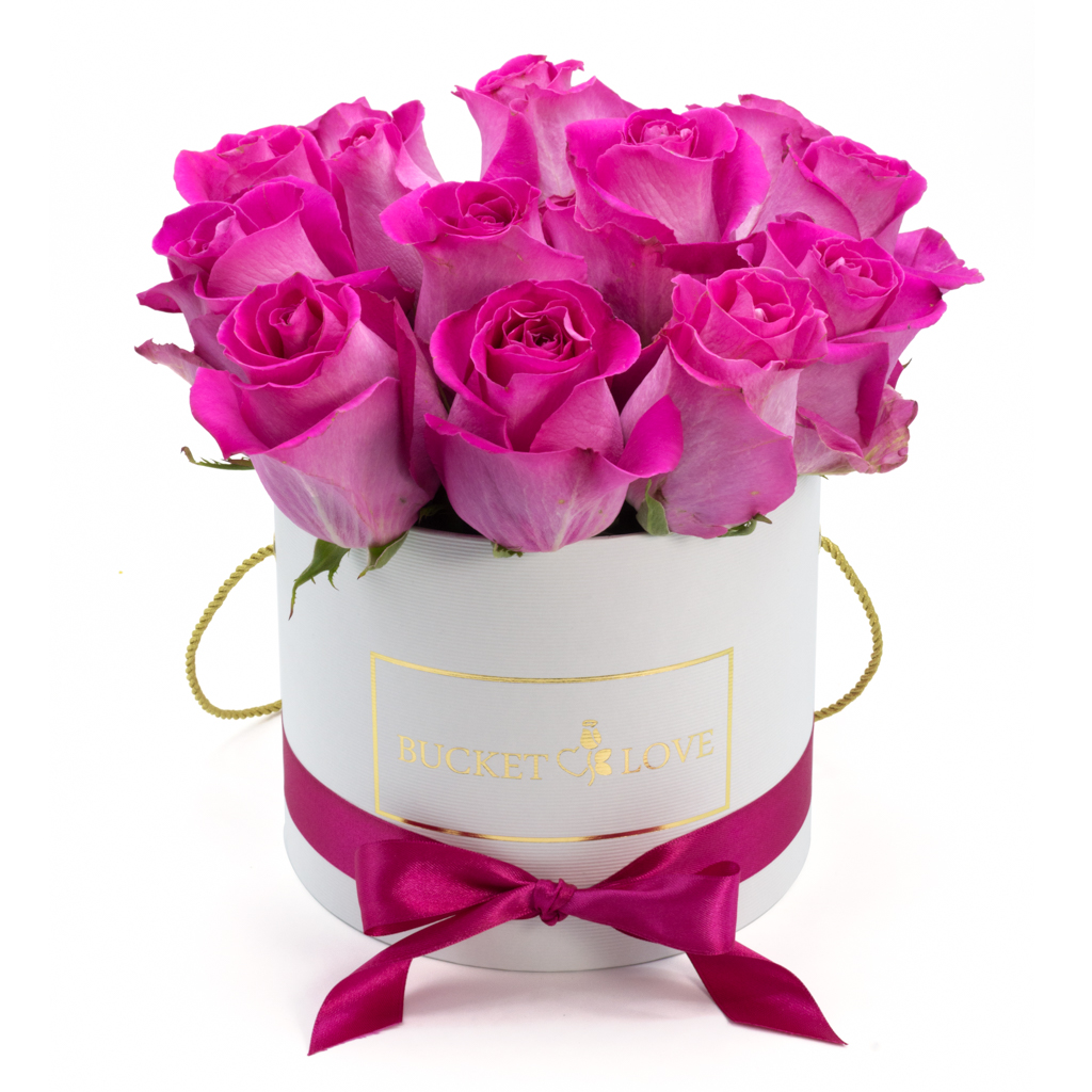 Bucket of Love Bucket of Love