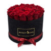 Bucket of Love