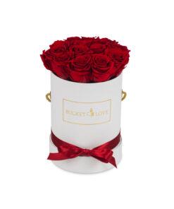 Dostava-cvetja-na-dom-večne vrtnice-Bucket-of-Love