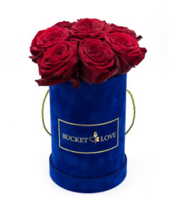 Bucket of Love