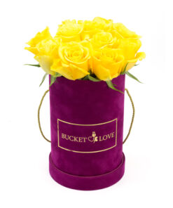 Bucket of Love