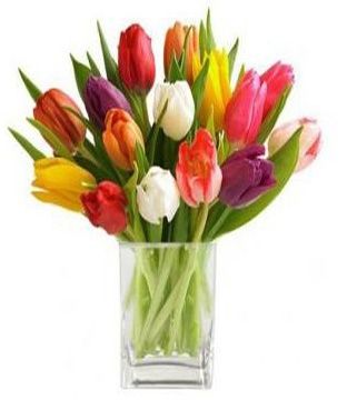 18-stem-mixed-tulips-bouquet-flowers-delivery-lebanon ŠOPEK TULIPANOV