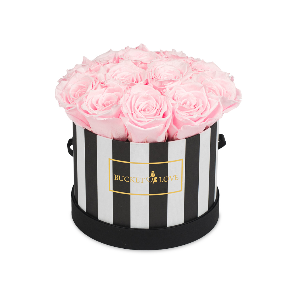 All You Need is Love_Bucket of Love_3