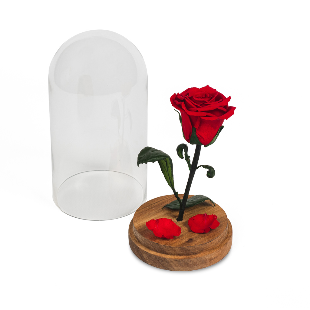 Beauty and the Beast_Bucket of Love_100