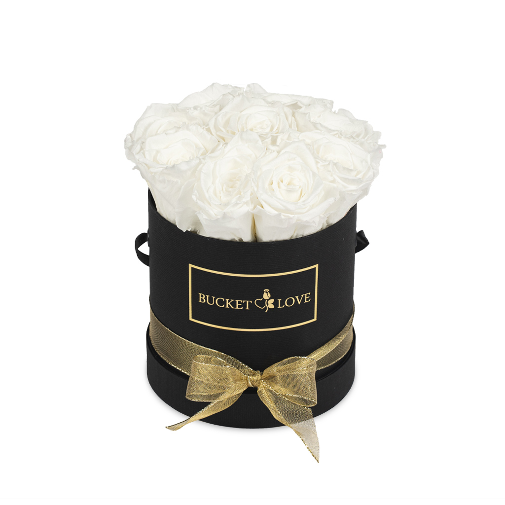 Better Now_Bucket of Love_2