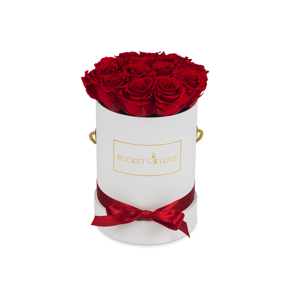 Daydreaming_Bucket of Love_1