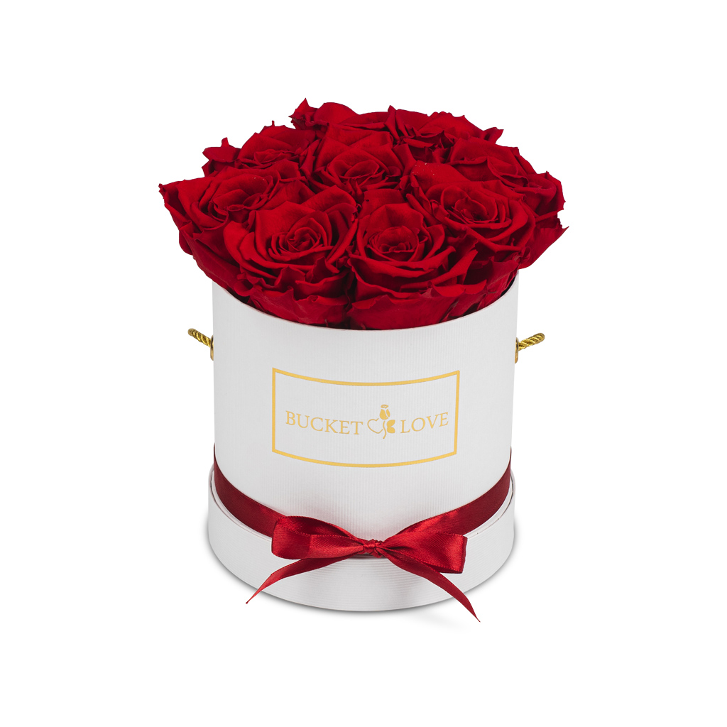 Daydreaming_Bucket of Love_2