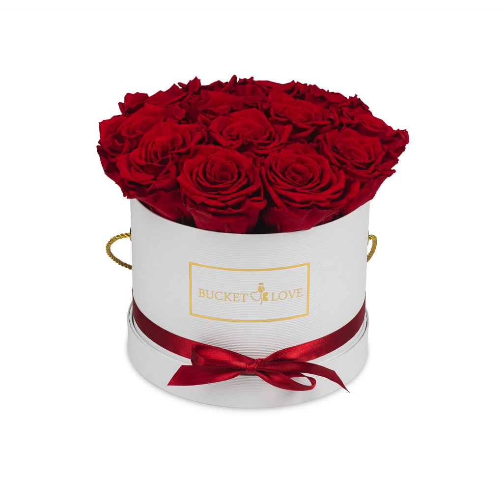 Daydreaming_Bucket of Love_3