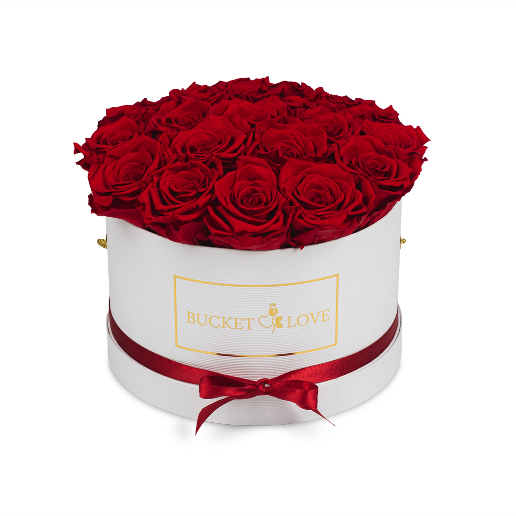 Daydreaming_Bucket of Love_4