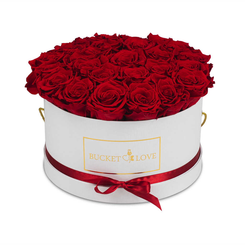 Daydreaming_Bucket of Love_5