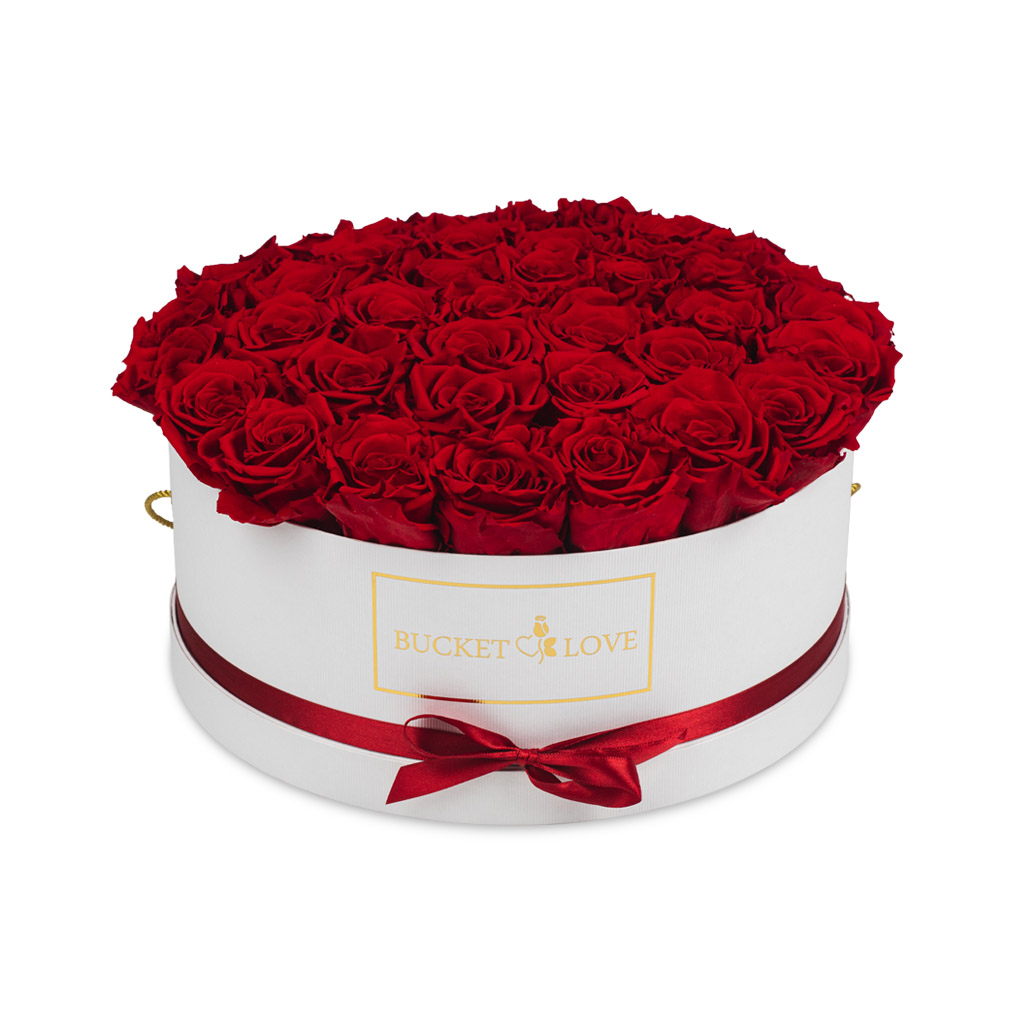 Daydreaming_Bucket of Love_6