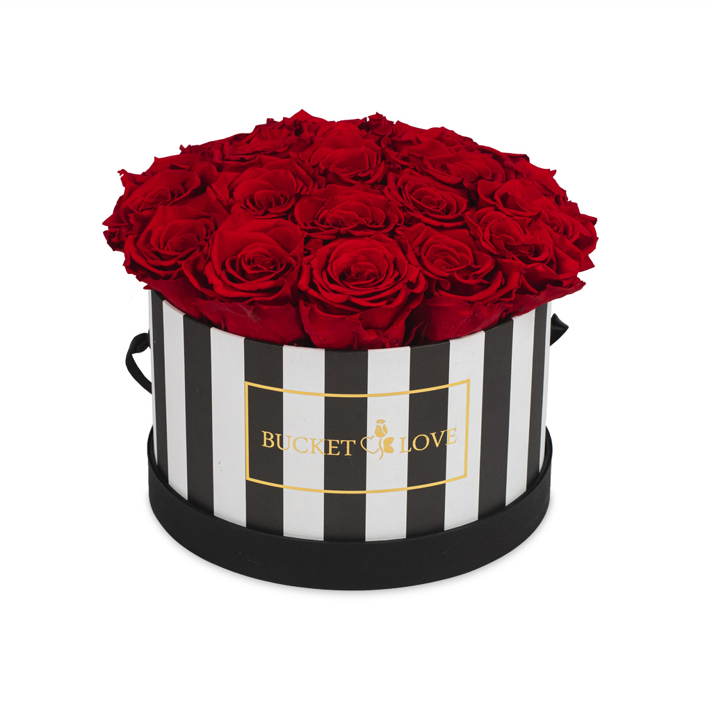 I Love It_Bucket of Love_4