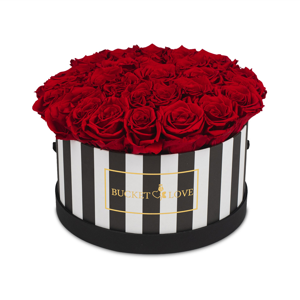 I Love It_Bucket of Love_5