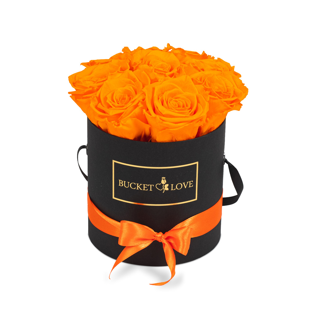 My Pumpkin_Bucket of Love_2